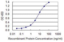 Monoclonal Mouse anti-Human SAV1 / WW45 Antibody (clone 3A10, WB)