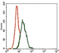 INCENP Antibody (Amino Acid: 369-583, clone 3D2)