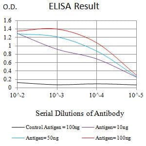 Monoclonal Mouse anti-Human PVRL3 / Nectin-3 Antibody (clone 6D5B2, WB)