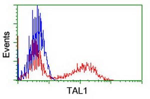 Monoclonal Mouse anti-Human TAL1 Antibody (clone OTI5B12, IF, WB)