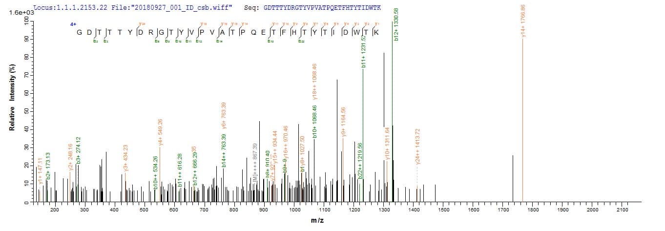 Aspergillus fumigatus crf1 Protein (Recombinant 10His, N-terminus + Myc, C-terminus)