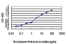 FOXA2 Antibody (clone 4C5)