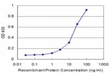 CSF1 / MCSF Antibody (clone 1A9)