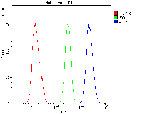 AF5Q31 / AFF4 Antibody