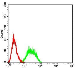 SLAMF6 / NTBA Antibody (clone 2F1B4G9)