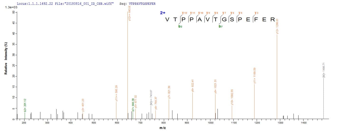 Human MGST2 Protein (Recombinant 10His, N-terminus)