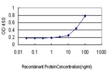 IHC-plus™ BANF1 / BAF / BCRP1 Antibody (clone 3F10-4G12)