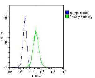 TERF2IP / RAP1 Antibody (clone 1664CT520.25.66)