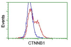 CTNNB1 / Beta Catenin Antibody (clone OTI3C6)