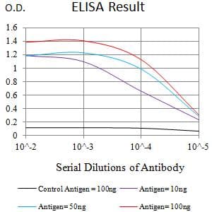 Monoclonal Mouse anti-Human FCRL3 Antibody (clone 4D7B9, WB)