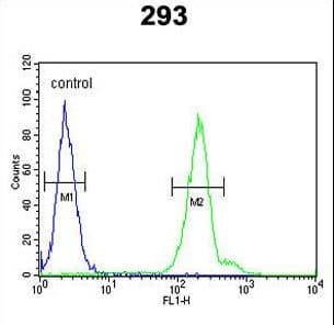 CRELD2 Antibody (aa325-353)
