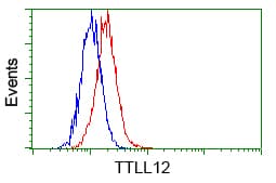 KIAA0153 / TTLL12 Antibody (clone OTI12B7, Carrier-free)