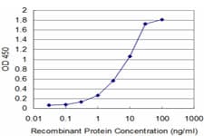 PathPlus™ Monoclonal Mouse anti-Human HCLS1 Antibody (clone 2A8, IHC, WB)