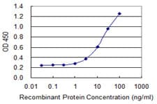SERPINB9 / PI9 Antibody (clone 1F5)