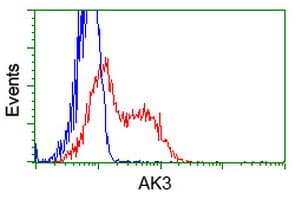 AK3 / Adenylate Kinase 3 Antibody (clone OTI4C4)