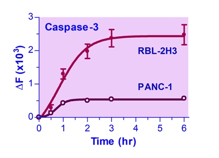 Caspase-3 Assay Kit (Fluorometric)