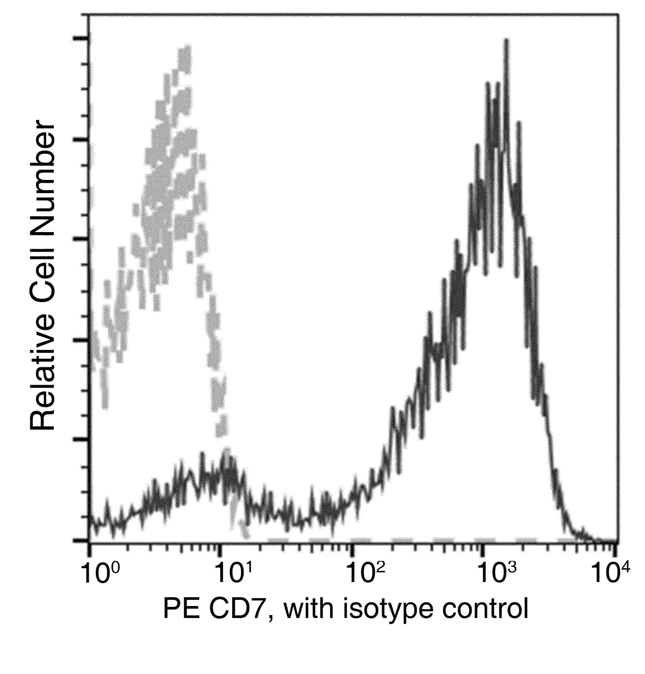 Monoclonal Mouse anti-Human CD7 Antibody (clone 14, PE)
