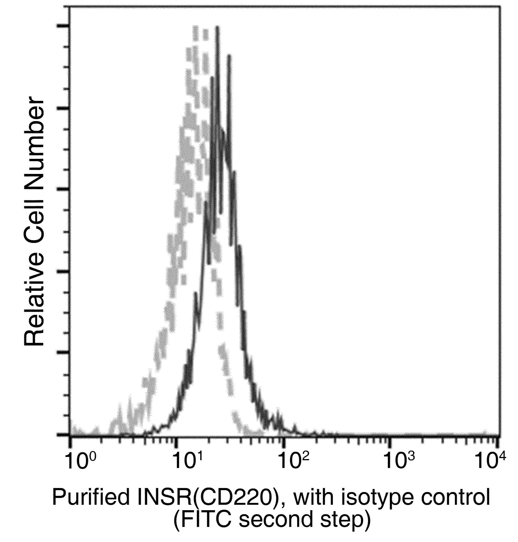 INSR / Insulin Receptor Antibody (clone 01, Preservative Free)