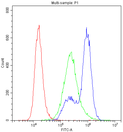 PPP1R12A / MYPT1 Antibody (aa1-17)