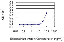 VDAC2 Antibody (clone 3D2)