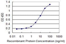GLYAT Antibody (clone 1A10)