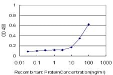PTPRE / PTP Epsilon Antibody (clone 2D10)