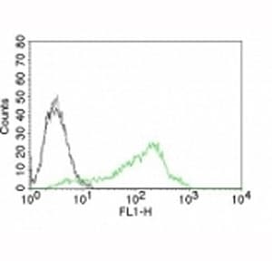 NCL / Nucleolin Antibody (clone NCL/902, Ready-to-Use)