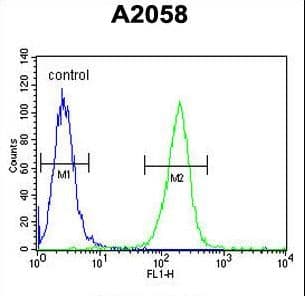 MOB1A Antibody (aa188-216)