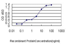 Monoclonal Mouse anti-Human MRPL12 Antibody (clone 3B12-1A3, IHC, IF, WB)