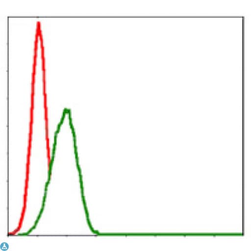 CD71 / Transferrin Receptor Antibody