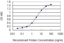 NCAM / CD56 Antibody (clone 3G12)
