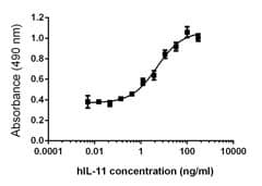 Human IL11 Protein (Recombinant)