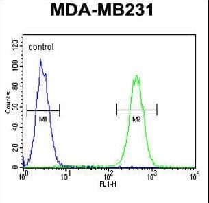 FKBP1A / FKBP12 Antibody (aa55-83)