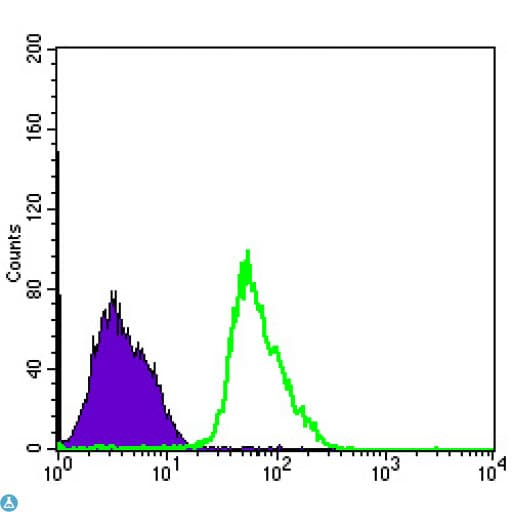 PRKAA1 / AMPK Alpha 1 Antibody