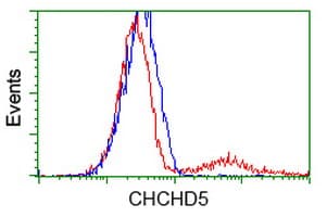 CHCHD5 Antibody (clone OTI6G5)