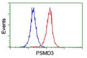 p58 / PSMD3 Antibody (clone OTI2A2, Carrier-free)