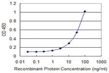 LONRF1 Antibody (clone 1D9)