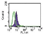 TLR6 Antibody (aa408-424, clone 86B1153.2)