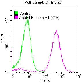 Recombinant Monoclonal Rabbit anti-Human HIST1H4I Antibody (IF, WB)