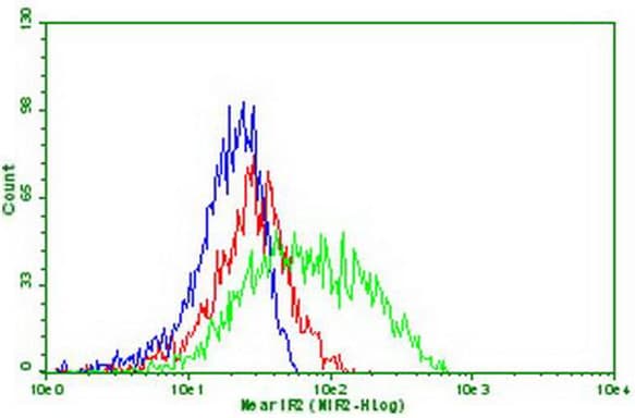 Monoclonal Mouse anti-Human PDCD1 / CD279 / PD-1 Antibody (clone OTI17F7, Carrier-free, IF, WB)