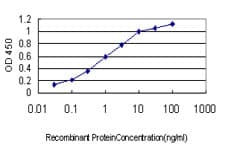 RAB27A / RAB27 Antibody (clone 1G7)