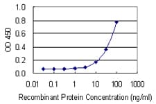 PRKCSH Antibody (clone 3H7)