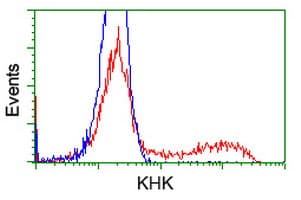 Monoclonal Mouse anti-Human KHK / Ketohexokinase Antibody (clone OTI2C3, IF, WB)