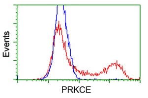 PRKCE / PKC-Epsilon Antibody (clone OTI4B3, Carrier-free)