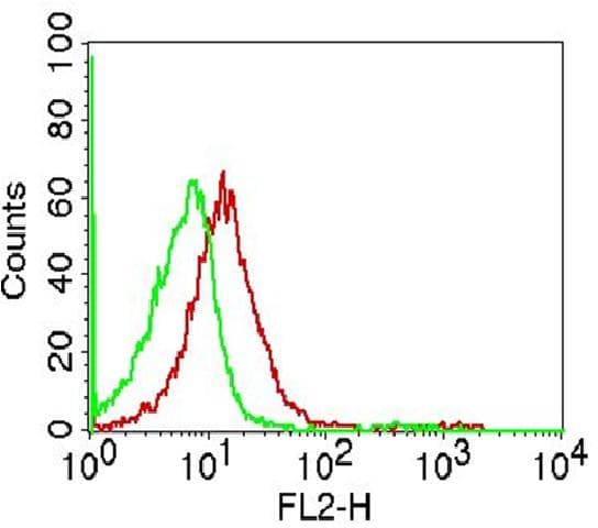 S100A8 / MRP8 Antibody