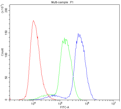 ABI1 / SSH3BP1 Antibody (aa151-175)