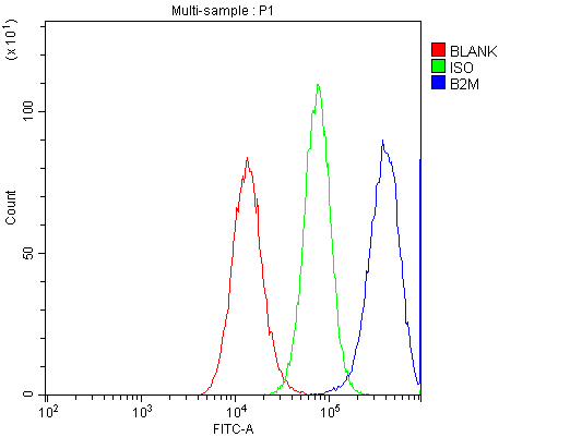 Polyclonal Rabbit anti-Human B2M / Beta 2 Microglobulin Antibody (IHC, WB)