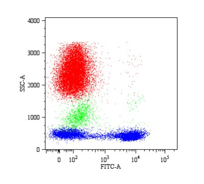 Monoclonal Mouse anti-Human CD5 Antibody (clone CRIS1, IHC, WB)