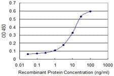 CYGB / Cytoglobin Antibody (clone 1A1)