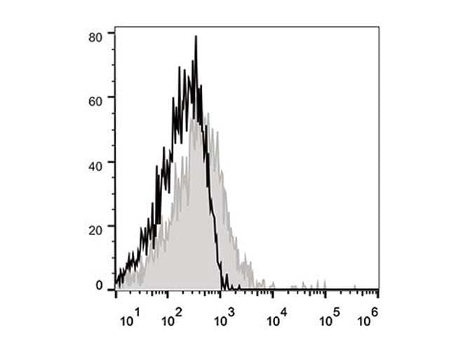 Monoclonal Hamster anti-Mouse CD28 Antibody (clone 37.51, APC)